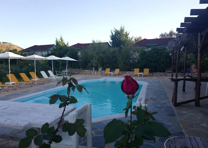 Daire Zest @ Xi Lixouri